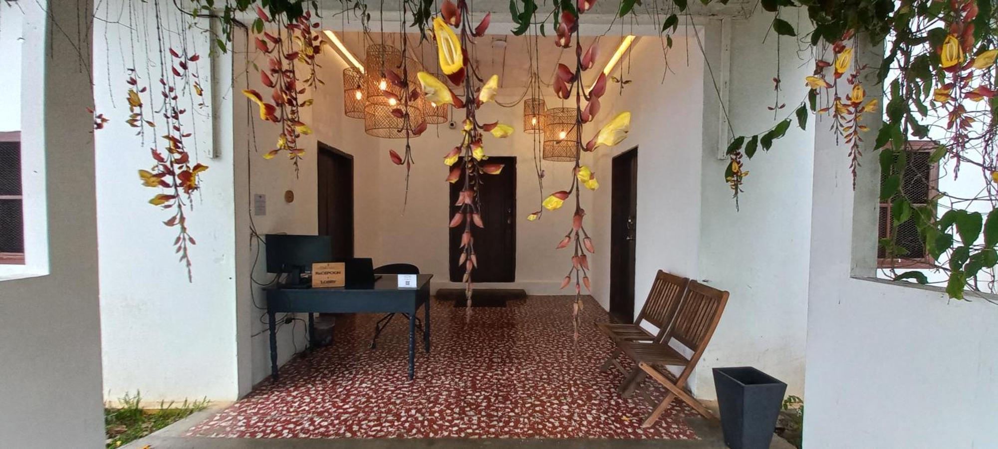 Casa 1800 Los Naranjos Boutique Hotel 外观 照片
